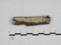 登錄號:F0009186藏品圖，第1張