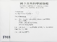 串擔革菌屬藏品圖，第2張