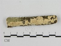 登錄號:F0009188藏品圖，第1張