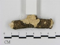 登錄號:F0009190藏品圖，第1張