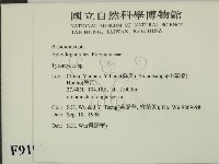 登錄號:F0009191藏品圖，第2張
