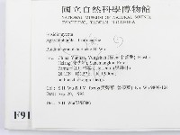 登錄號:F0009195藏品圖，第2張