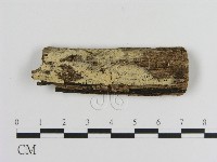 登錄號:F0009197藏品圖，第1張