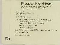 登錄號:F0009198藏品圖，第2張