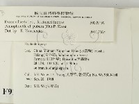 登錄號:F0009199藏品圖，第2張