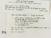 登錄號:F0009202藏品圖，第2張