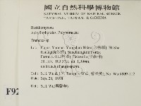 栓菌屬藏品圖，第2張