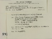 登錄號:F0009205藏品圖，第2張