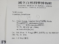登錄號:F0009206藏品圖，第2張