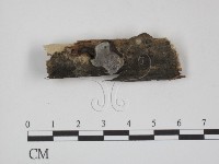 登錄號:F0009206藏品圖，第1張