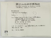 韌革菌屬藏品圖，第2張