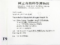 登錄號:F0009210藏品圖，第2張