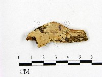 登錄號:F0009210藏品圖，第1張