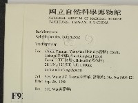 登錄號:F0009211藏品圖，第2張