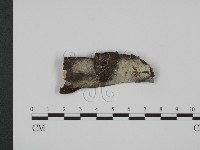 登錄號:F0009211藏品圖，第1張