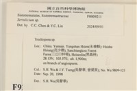 登錄號:F0009211藏品圖，第3張