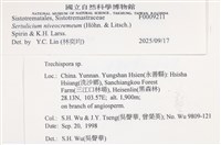 登錄號:F0009211藏品圖，第4張