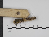 登錄號:F0009212藏品圖，第3張