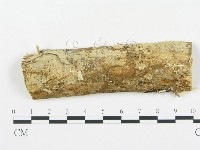 登錄號:F0009213藏品圖，第1張