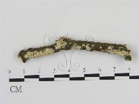 登錄號:F0009214藏品圖，第1張