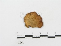 登錄號:F0009215藏品圖，第3張