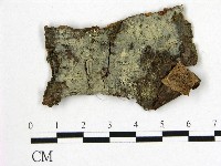 登錄號:F0009216藏品圖，第1張