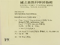 登錄號:F0009217藏品圖，第2張