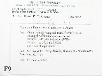 登錄號:F0009218藏品圖，第2張