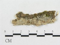 登錄號:F0009218藏品圖，第1張