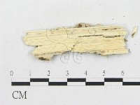 登錄號:F0009218藏品圖，第4張