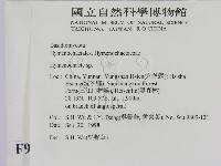 刺革菌屬藏品圖，第2張