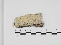 登錄號:F0009221藏品圖，第1張