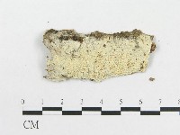 登錄號:F0009221藏品圖，第3張