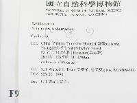 黑蛋巢菌屬藏品圖，第2張