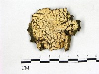 登錄號:F0009223藏品圖，第1張