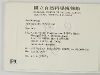 韌革菌屬藏品圖，第2張