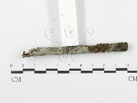 登錄號:F0009225藏品圖，第3張