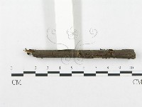 登錄號:F0009225藏品圖，第5張