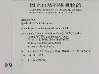 登錄號:F0009226藏品圖，第2張