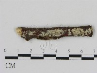 登錄號:F0009226藏品圖，第1張