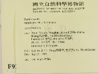 絲齒菌屬藏品圖，第2張