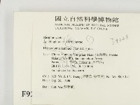 冇骨消絲齒菌藏品圖，第2張