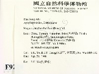 登錄號:F0009229藏品圖，第2張