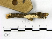 登錄號:F0009229藏品圖，第3張