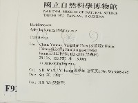 栓菌屬藏品圖，第2張