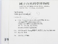 黑蛋巢菌屬藏品圖，第2張