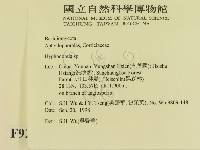 登錄號:F0009235藏品圖，第2張
