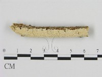 登錄號:F0009235藏品圖，第1張
