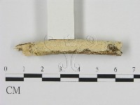 登錄號:F0009235藏品圖，第3張