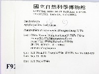 登錄號:F0009237藏品圖，第2張